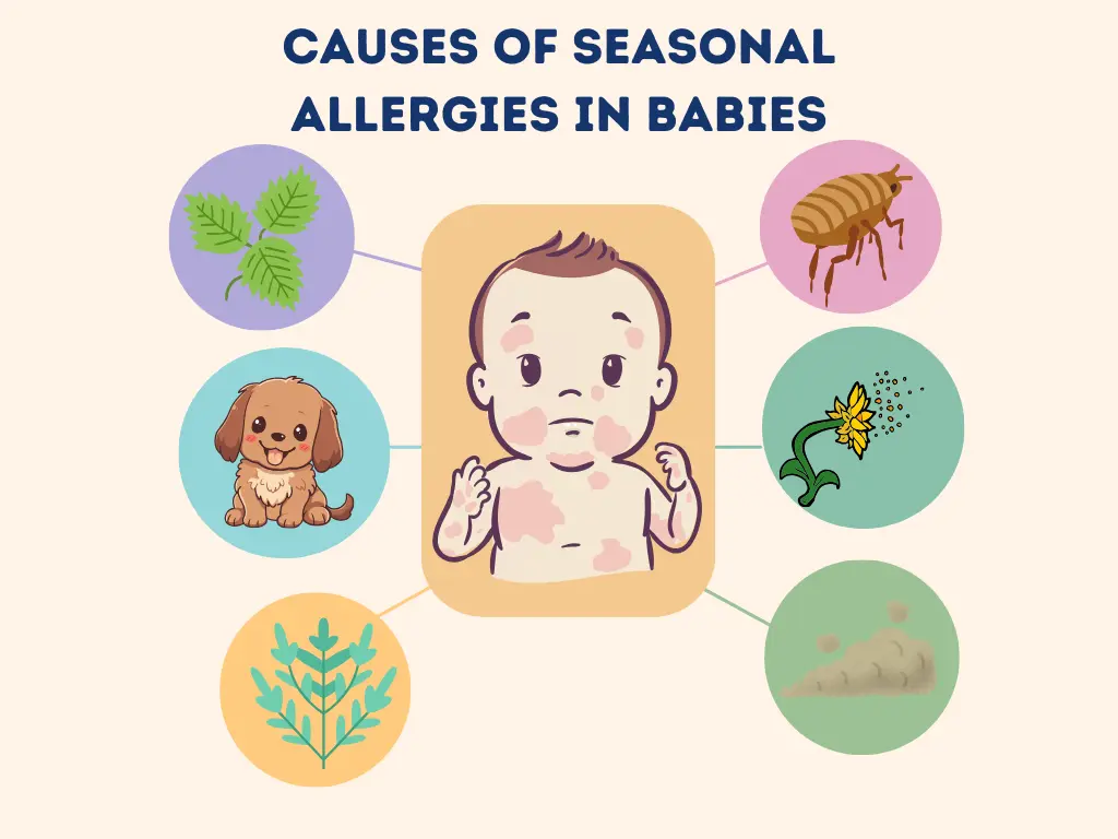 Common Causes of seasonal allergies in Babies